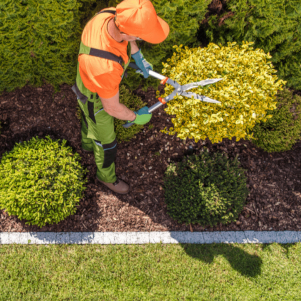 0012_KS-Mowers_Our-Service-Area-NARRABEEN