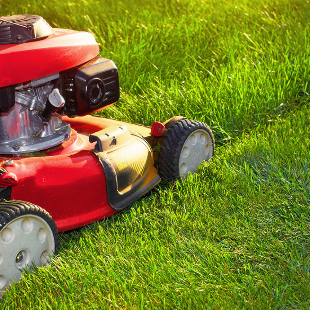 0015_KS-Mowers_Our-Service-Area-ELANORA HEIGHTS